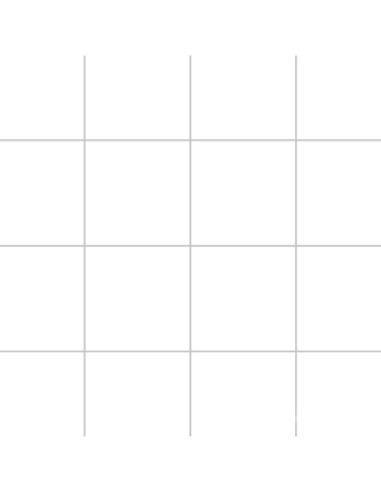 Forte Blanco 33 X 33